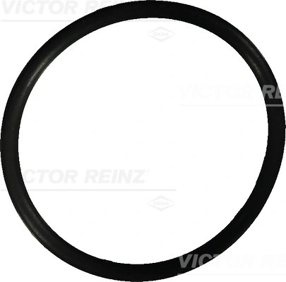 Victor Reinz 407602210