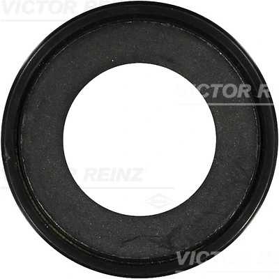 Victor Reinz 813802700