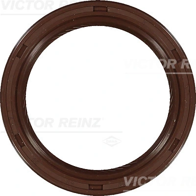 Victor Reinz 811038200