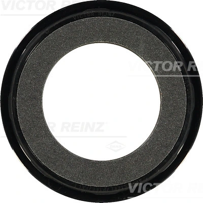 Victor Reinz 813406200