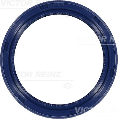 Victor Reinz 815328400