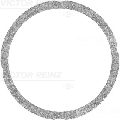 Victor Reinz 612547530