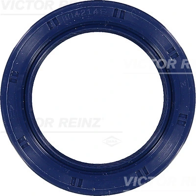 Victor Reinz 815364900