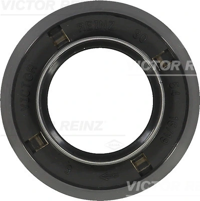 Victor Reinz 813598900