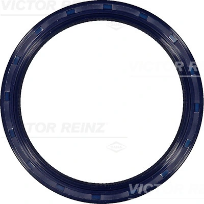 Victor Reinz 815334200
