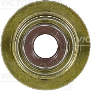 Victor Reinz 703853900