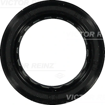 Victor Reinz 814038900