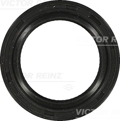 Victor Reinz 815324200