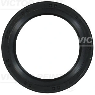 Victor Reinz 814244900