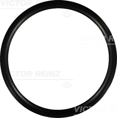 Victor Reinz 407675200