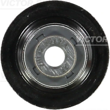 Victor Reinz 705409300