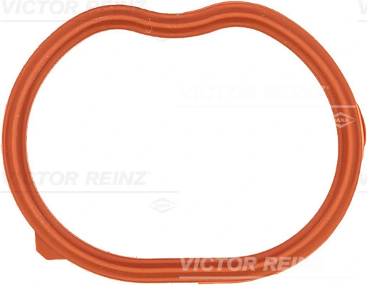Victor Reinz 711022700