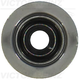 Victor Reinz 703554900