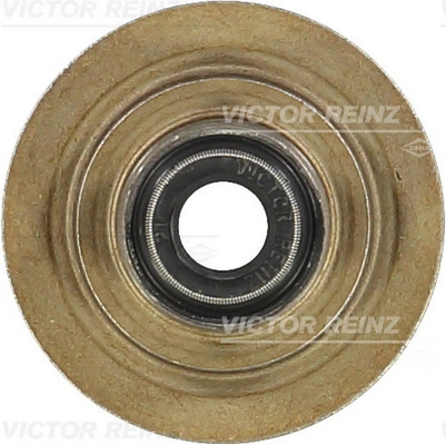 Victor Reinz 703105600
