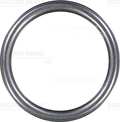 VICTOR REINZ 407631310