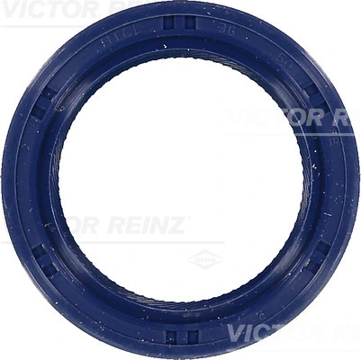 Victor Reinz 815325100