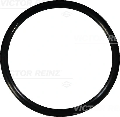 Victor Reinz 407636700