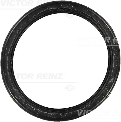 Victor Reinz 712456400