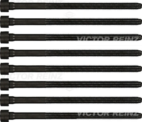 Victor Reinz 143219801