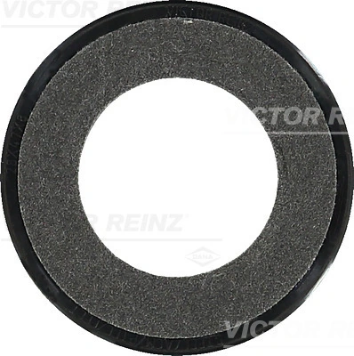 Victor Reinz 813523900