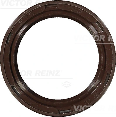 Victor Reinz 813484200