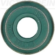 Victor Reinz 703351200