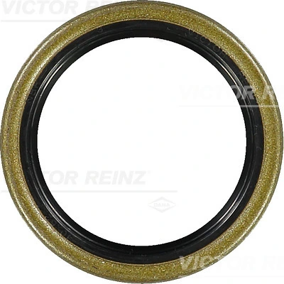 Victor Reinz 811599930