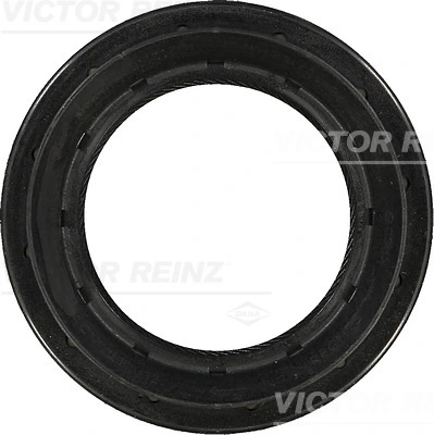 Victor Reinz 812941200