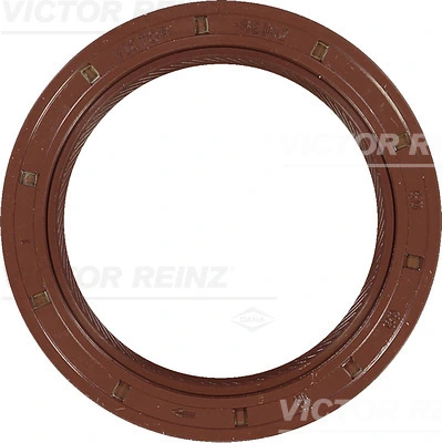 Victor Reinz 811673720