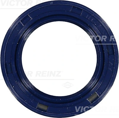 Victor Reinz 815323700