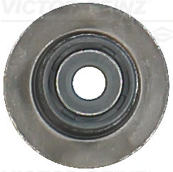 Victor Reinz 705420600