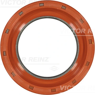 Victor Reinz 813760100