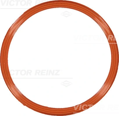 Victor Reinz 711082900