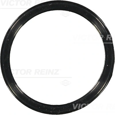 Victor Reinz 703658300