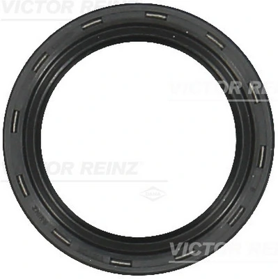 VICTOR REINZ 811049600