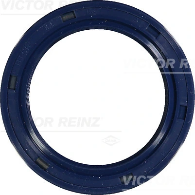 Victor Reinz 815377400