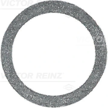 Victor Reinz 417106100