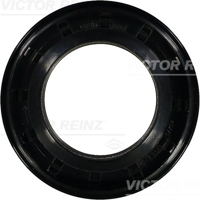 Victor Reinz 813939100