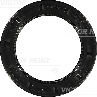 Victor Reinz 812733300