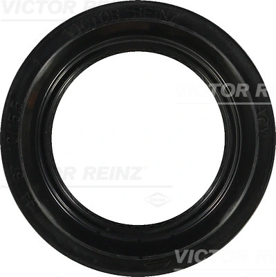 Victor Reinz 812941100