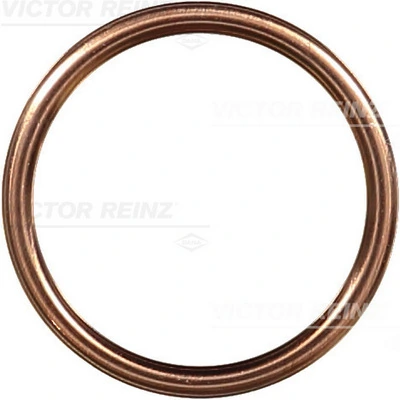 Victor Reinz 417206530