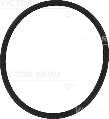 Victor Reinz 407755700