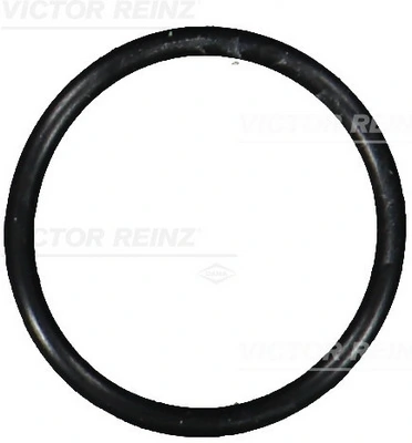Victor Reinz 407610100