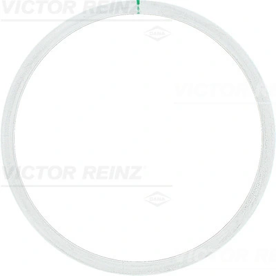 Victor Reinz 612531510