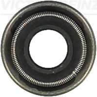Victor Reinz 705285100