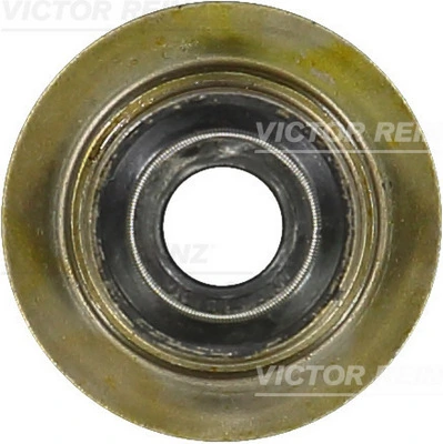 Victor Reinz 703589300