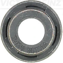 Victor Reinz 705395700