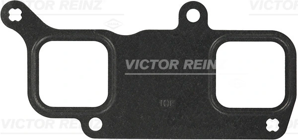 Victor Reinz 713613800