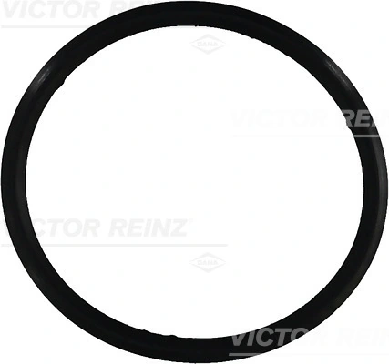 Victor Reinz 713164900