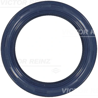 Victor Reinz 815377200